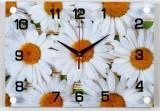2535-322 "Ромашки садовые" часы настенные