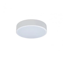 Потолочный светодиодный светильник Axel Loft It 10002/12 White