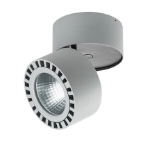 Потолочный светодиодный светильник Lightstar Forte 381393