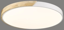 Потолочный светильник с пультом ДУ Velante 445-067-01