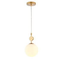 Светильник подвесной с лампочками, комплект от Lustrof. № 303300-617644
