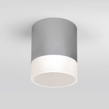 Уличный светодиодный светильник Elektrostandard Light LED 2107 IP54 35140/H серый (a057161)