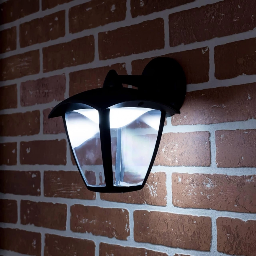 Уличный настенный светодиодный светильник Citilux Clu04W2 фото 2