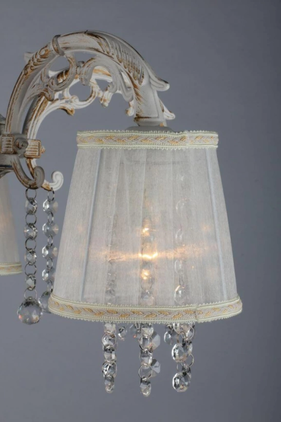 Люстра потолочная со светодиодными лампочками E14, комплект от Lustrof. №24837-656513 фото 2