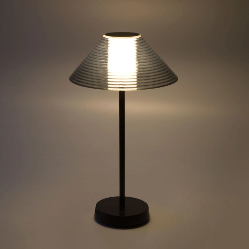 Настольная лампа Elektrostandard Mistery TL70210 черный (a062381) фото 3