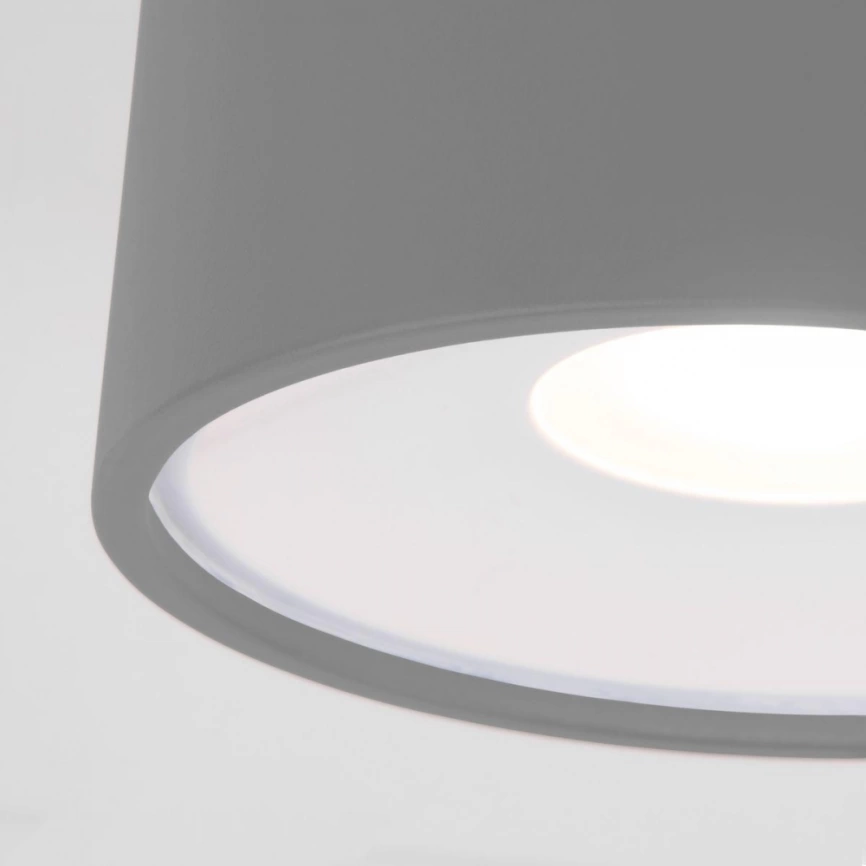 Уличный светодиодный светильник Elektrostandard Light LED 2135 IP65 35141/H серый (a057472) фото 3