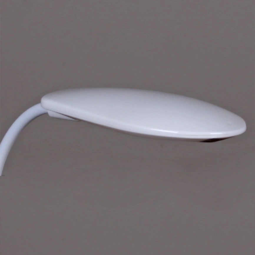 Настольная лампа Reluce 02319-0.7-01 WH (1813 цвет белый WH) (1427312) фото 3