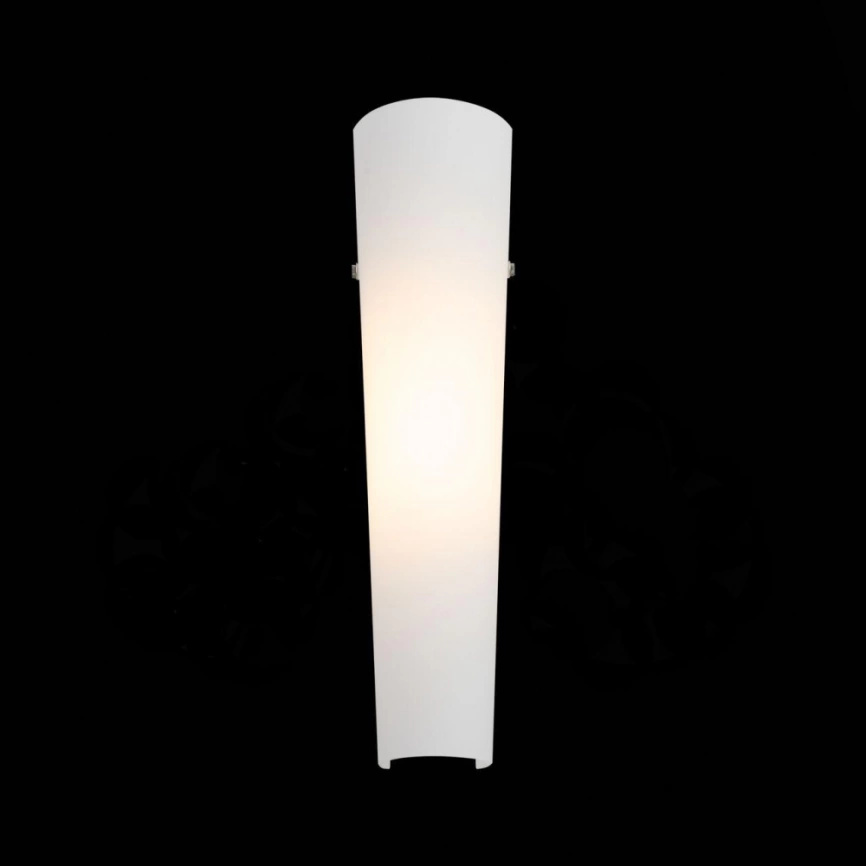 Настенный светодиодный светильник ST Luce Snello SL508.501.01 фото 2