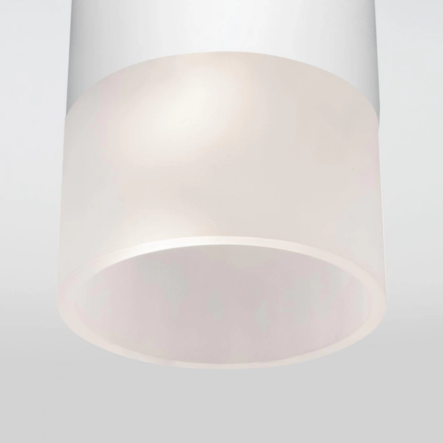 Уличный светодиодный светильник Elektrostandard Light LED 2106 IP54 35139/H белый (a057157) фото 3