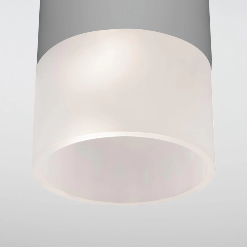 Уличный светодиодный светильник Elektrostandard Light LED 2106 IP54 35139/H серый (a057158) фото 3