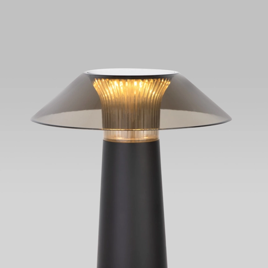 Настольная лампа Elektrostandard Future TL70200 черный (a062379) фото 3