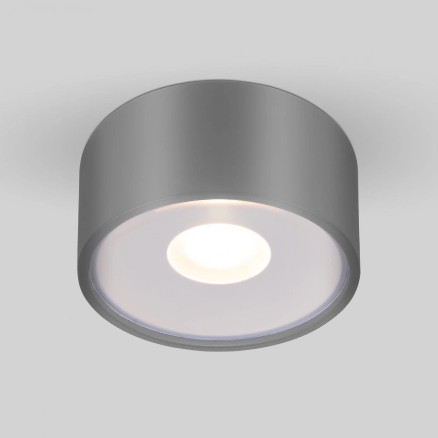 Уличный светодиодный светильник Elektrostandard Light LED 2135 IP65 35141/H серый (a057472) фото 1