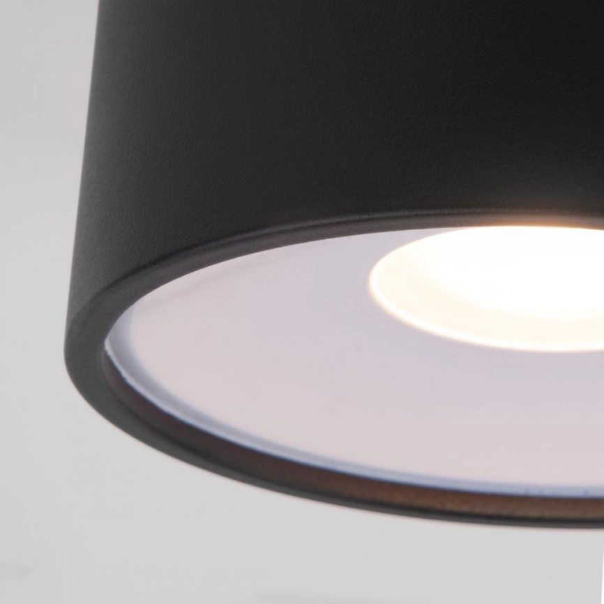 Уличный светодиодный светильник Elektrostandard Light LED 2135 IP65 35141/H черный (a057470) фото 3