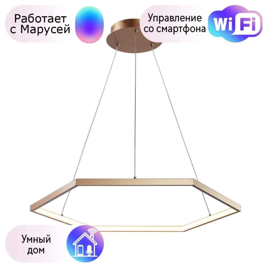 Подвесная светодиодная люстра Favourite Hexagon с поддержкой Маруся 2103-6P-М фото 1