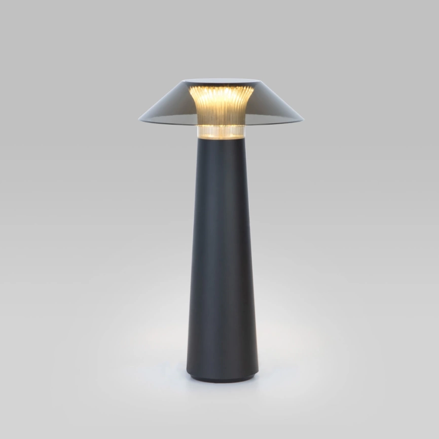 Настольная лампа Elektrostandard Future TL70200 черный (a062379) фото 1