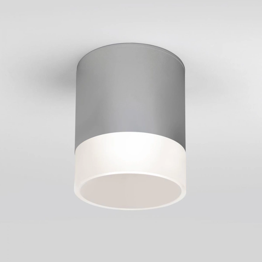 Уличный светодиодный светильник Elektrostandard Light LED 2107 IP54 35140/H серый (a057161) фото 1