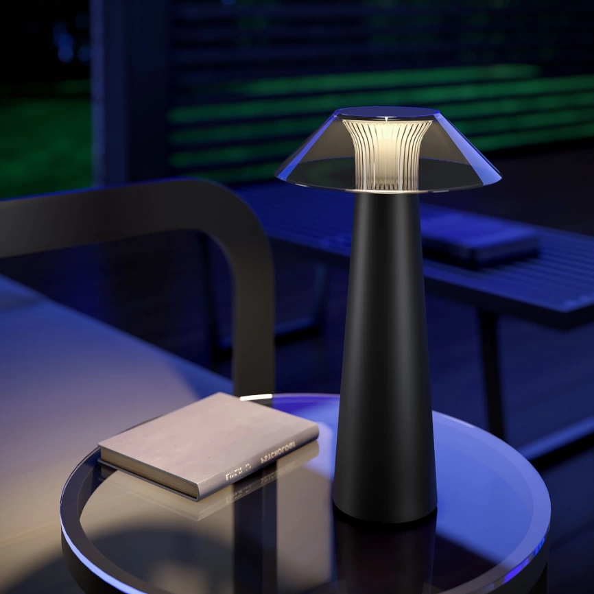 Настольная лампа Elektrostandard Future TL70200 черный (a062379) фото 2